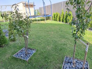 Rodinný dům Doubravčice. Zahrada