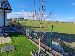 Vzhled na pole z pozemku rodinného domu Doubravčice